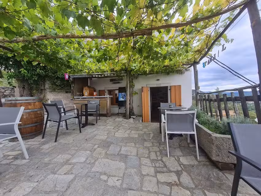 Bar Panorama: Local Wine by the Glass, Karst Prosciutto & Cheese, and a Special Wine Shop