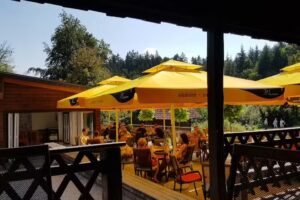 Brunarica Jezero Braslovče, Braslovsko jezero