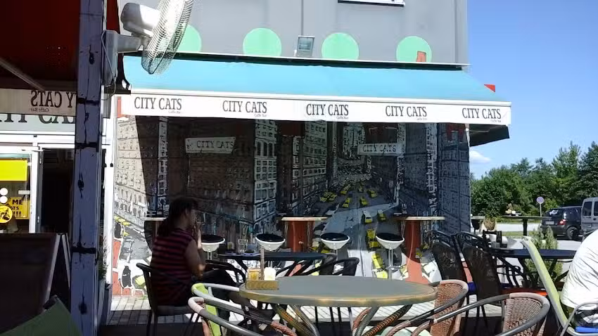 Gatti di citt&agrave;