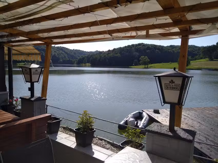 Dejan Sven&scaron;ek s.p.