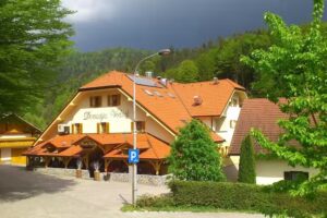 Domačija Vodnik Adergas, gostinstvo in turizem d.o.o.