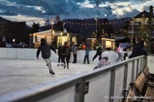 Drsali&scaron;če Bohinjska Bistrica