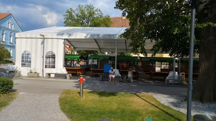 Fontana piv Zeleno zlato