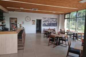 Goldy bar, strežba pijač, Mihael Koren s.p.