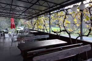 Gostilna Dermota grill