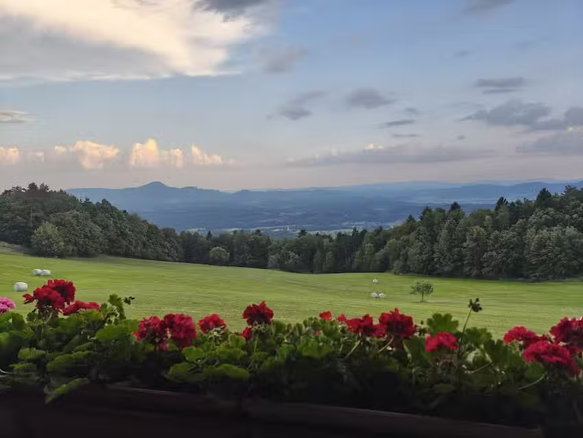 GOSTILNA &ldquo;GOSTI&Scaron;ČE BRBRE&rdquo;, BRBRE DRAGICA S.P.