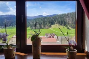 GOSTILNA PRI KAPCU TOM LAVRIČ SP