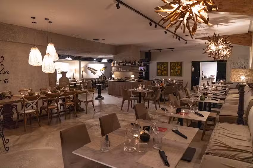 Harmonija Okusov &ndash; Menge&scaron;