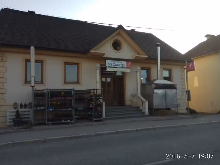 HI&Scaron;A CESAR CATERING, FLORISTRY AND OTHER SERVICES DANIJELA CESAR SP