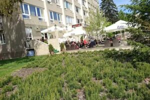 La Donna, Dejan Jevšnik sp