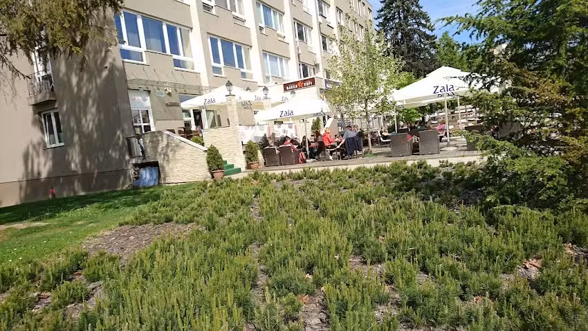 La Donna, Dejan Jev&scaron;nik s.p.