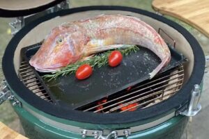 Lestur Du&scaron;an Turk s.p.