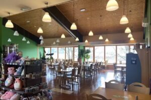 March&eacute; Tepanje II