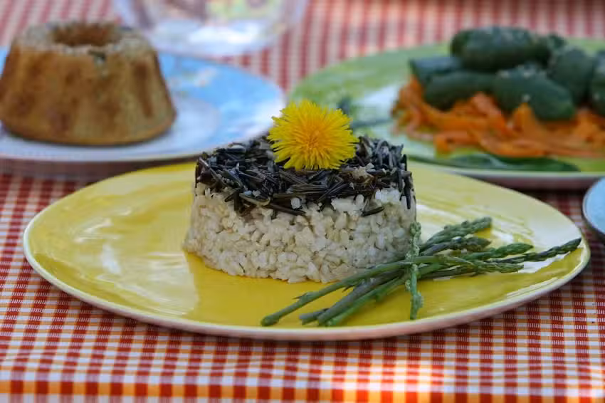 Mateja Ulaga e cuochi