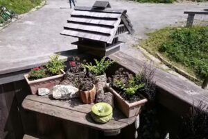 Okrepčevalnica Kranchy,