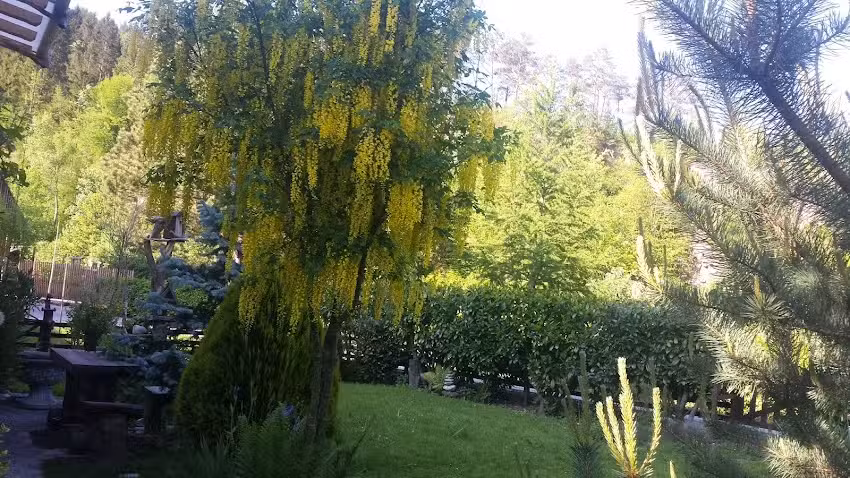 Okrepčevalnica Krebs Ana s.p.