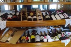 Okrepčevalnica Žabca, Ana Vodopivec s.p.