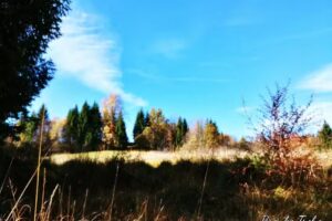 Saloon, podjetje za gostinstvo in turizem d.o.o.