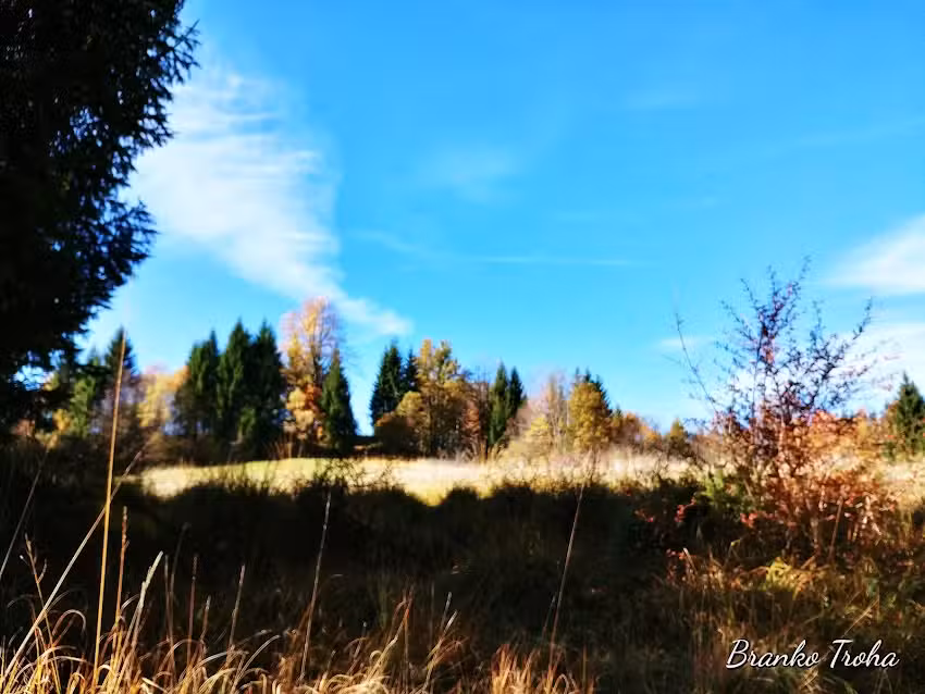 Societ&agrave; di ristorazione, ristorazione e turismo doo