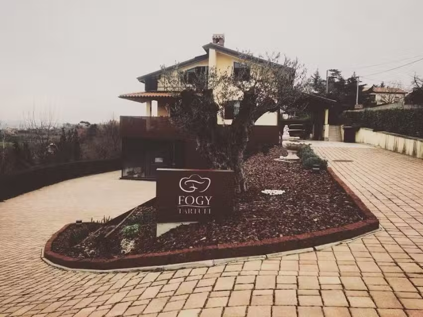 Negozio Fogy &ndash; Tartufi, Miran Bencetić sp