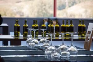 Turistična kmetija Profesorjevi, Tadej Pavlica