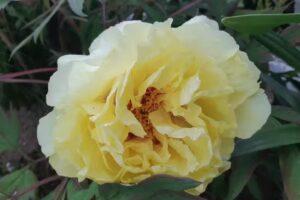 Turistične storitve in umetni&scaron;ko ustvarjanje, Tanja Radej, s.p.