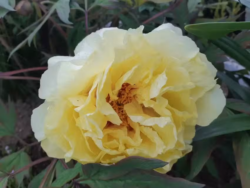 Turistične storitve in umetniško ustvarjanje, Tanja Radej, s.p.