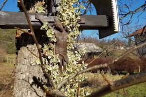 Ves&Rob, catering, intermediazione di vendita auto, doo