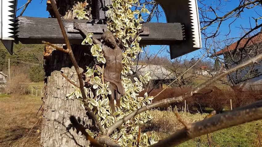 Ves&Rob, catering, intermediazione di vendita auto, doo